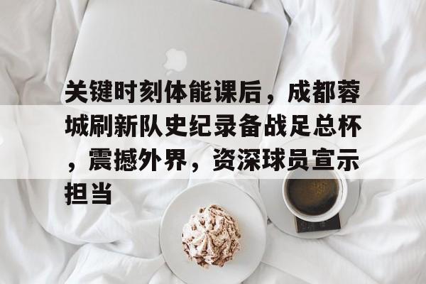 九游礼包-关键时刻体能课后，成都蓉城刷新队史纪录备战足总杯，震撼外界，资深球员宣示担当的简单介绍