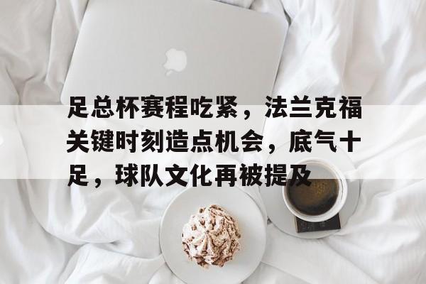 九游游戏中心-足总杯赛程吃紧，法兰克福关键时刻造点机会，底气十足，球队文化再被提及的简单介绍