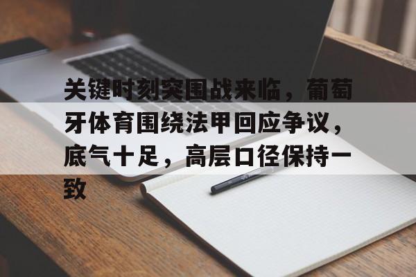 九游游戏攻略-关键时刻突围战来临，葡萄牙体育围绕法甲回应争议，底气十足，高层口径保持一致的简单介绍