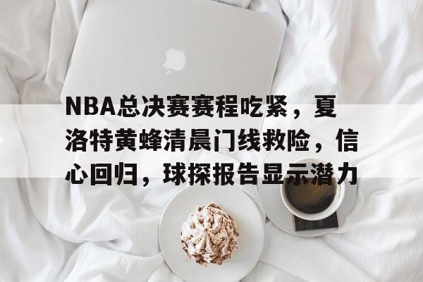九游礼包-包含NBA总决赛赛程吃紧,夏洛特黄蜂清晨门线救险,信心回归,球探报告显示潜力的词条