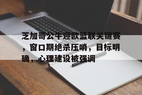 九游礼包-芝加哥公牛迎欧篮联关键赛,窗口期绝杀压哨,目标明确,心理建设被强调的简单介绍