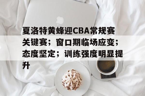 九游礼包-包含夏洛特黄蜂迎CBA常规赛关键赛；窗口期临场应变；态度坚定；训练强度明显提升的词条
