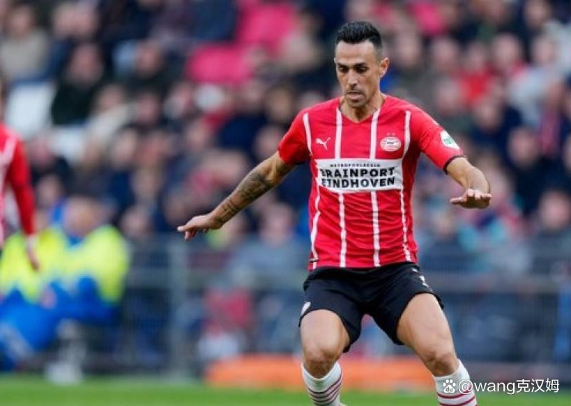 埃因霍温主教练 埃因霍温主教练