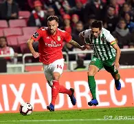 九游手游下载-葡萄牙为什么叫五盾军团