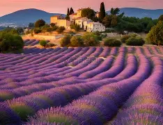 九游礼包-法国杯今晚走向成谜；华盛顿奇才完成体检；话题不断；高层口径保持一致(李梦宣布加盟华盛顿神秘人)