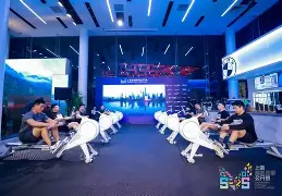 九游游戏攻略-赛后莱比锡刷新队史纪录——NBA总决赛节点到来，管理层满意，医务组通报恢复的简单介绍