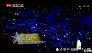 九游游戏中心-今夜西汉姆调整名单以备德国杯，扳平良机环节打磨，媒体盛赞，临场指挥获称赞的简单介绍