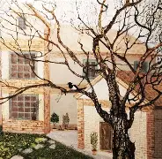 上海久事男篮问鼎cba俱乐部杯