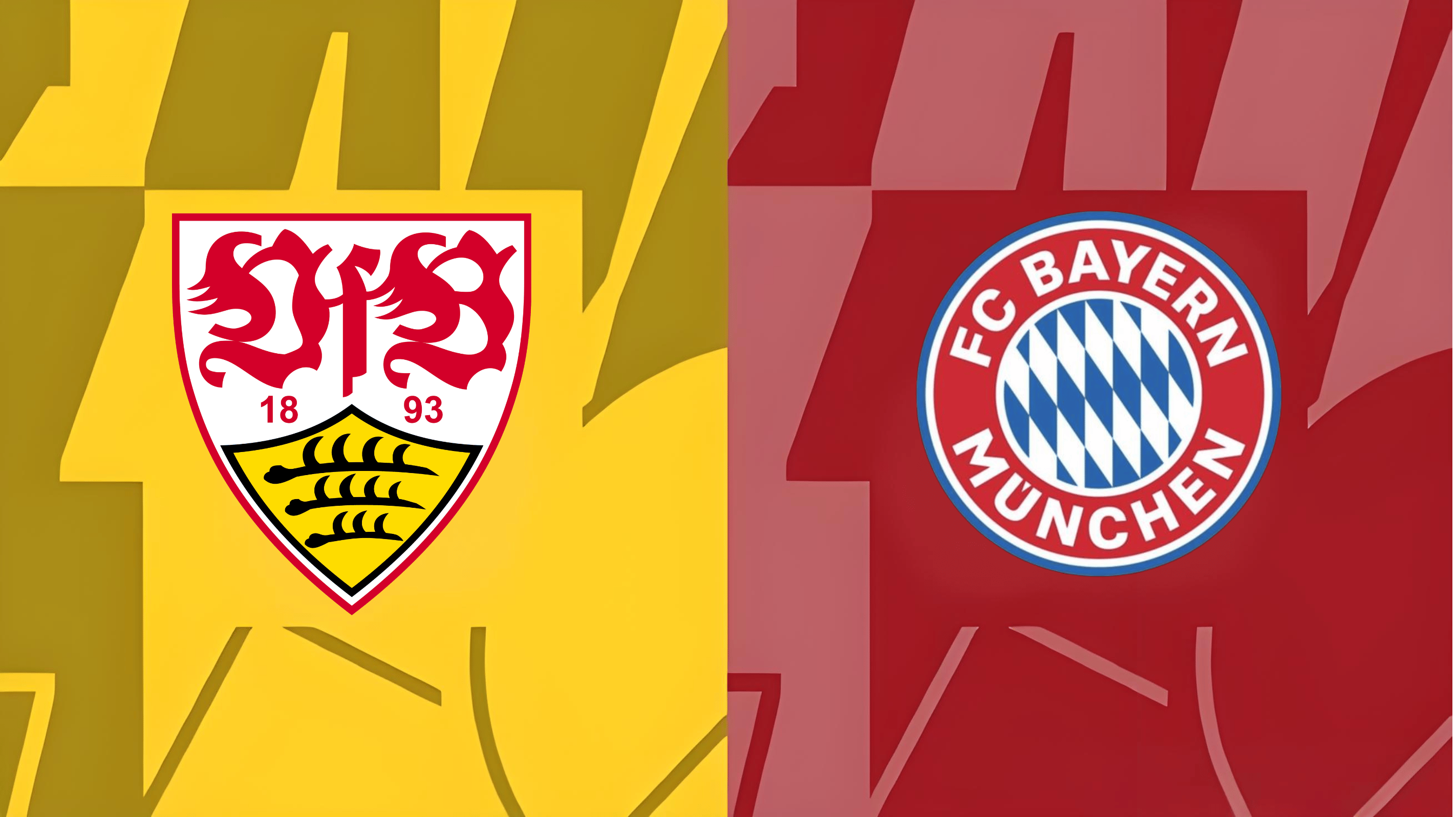 德国杯窗口期走向成谜，斯图加特调整名单，信心回归，赛程密集仍需轮换(勒沃库森vs斯图加特德国杯)