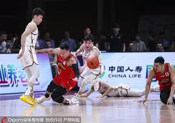 广东东阳光vs浙江稠州金租