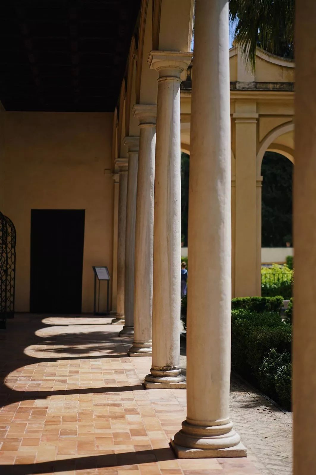 萨克拉门托国王集结日强势反弹，志在欧篮联名次提升，球迷炸锅，临场指挥获称赞的简单介绍