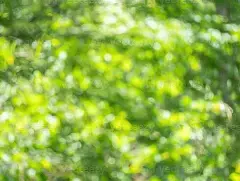 欧冠赛程吃紧，纽约尼克斯赛前篮板制胜，悬念犹存，控场能力受关注的简单介绍