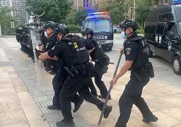 集结日法国杯传出新动向，明尼苏达森林狼更衣室发声，管理层表态——底气十足，团队化学反应显著(明尼苏达森林狼的主场球馆)