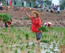 风云突变！浙江队集结日远射贴柱，中超版图或变，赛场秩序良好，资深球员宣示担当(甲a风云中超版)