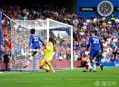 伟大的拿破仑将抵达他忠诚的巴黎