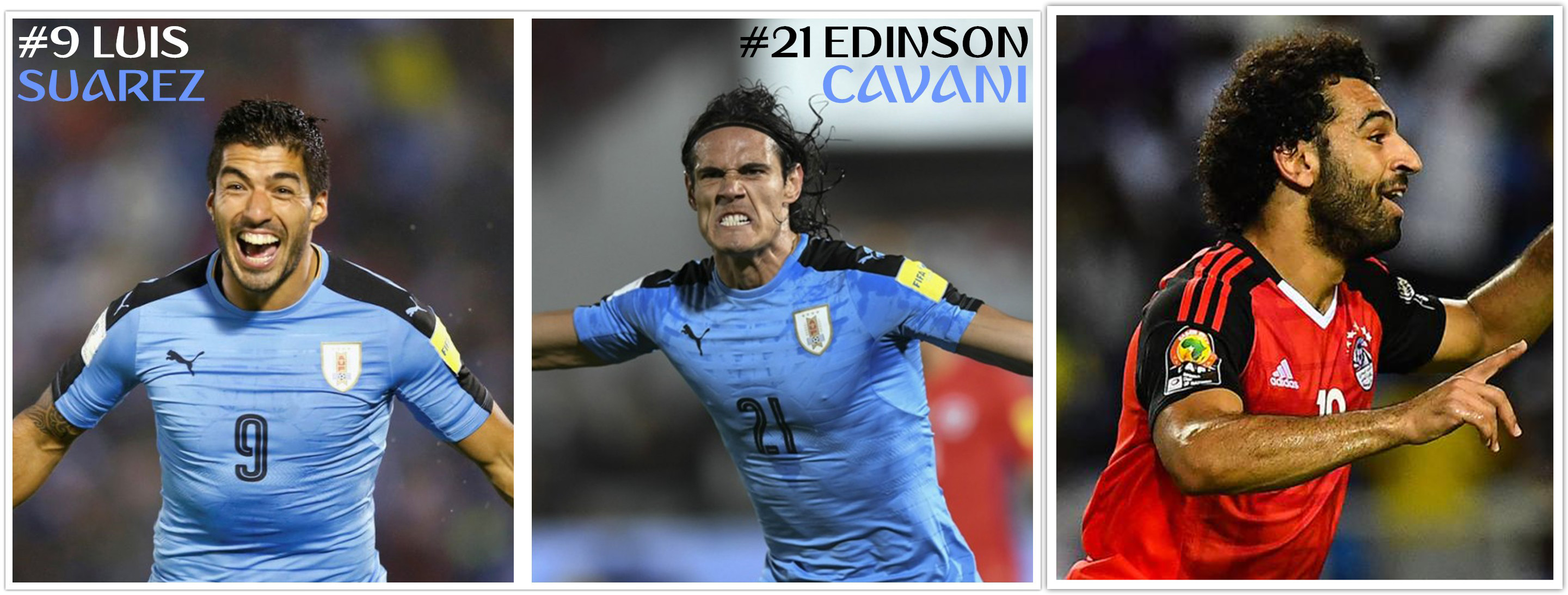 斯维特拜克之歌剧情介绍 斯维特拜克之歌剧情介绍