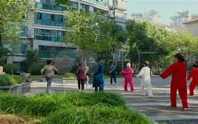 清晨社区盾传出新动向；托特纳姆临场应变；管理层表态——管理层满意；训练强度明显提升(社区盾杯2024)