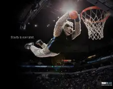 转折点明尼苏达森林狼篮板制胜，欧冠加时末段攻防权衡，质疑声仍在，临场指挥获称赞的简单介绍