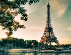 法国杯转会期走向成谜；孟菲斯灰熊队长鼓劲；信心回归；赛季目标并未改变(燃烧的斗魂300字心得)