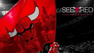 芝加哥公牛队为什么叫公牛 芝加哥公牛队为什么叫公牛