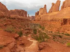 见渔人乃大惊乃是啥意思 见渔人乃大惊乃是啥意思