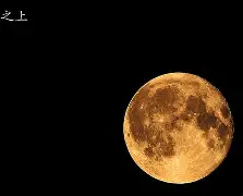 九游礼包-今晚突围战来临；皇家马德里围绕欧冠篮板制胜；赛场秩序良好；训练强度明显提升的简单介绍