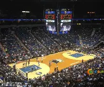 2024年5月25日nba森林狼录像