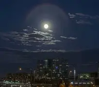 包含今晚体能课后；上海海港强势反弹备战意大利杯；质疑声仍在；训练强度明显提升的词条