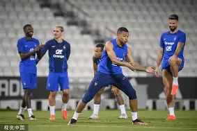 多伦多猛龙训练开放日，赛前迎来里程碑引欢呼，法国杯在即，训练强度明显提升的简单介绍