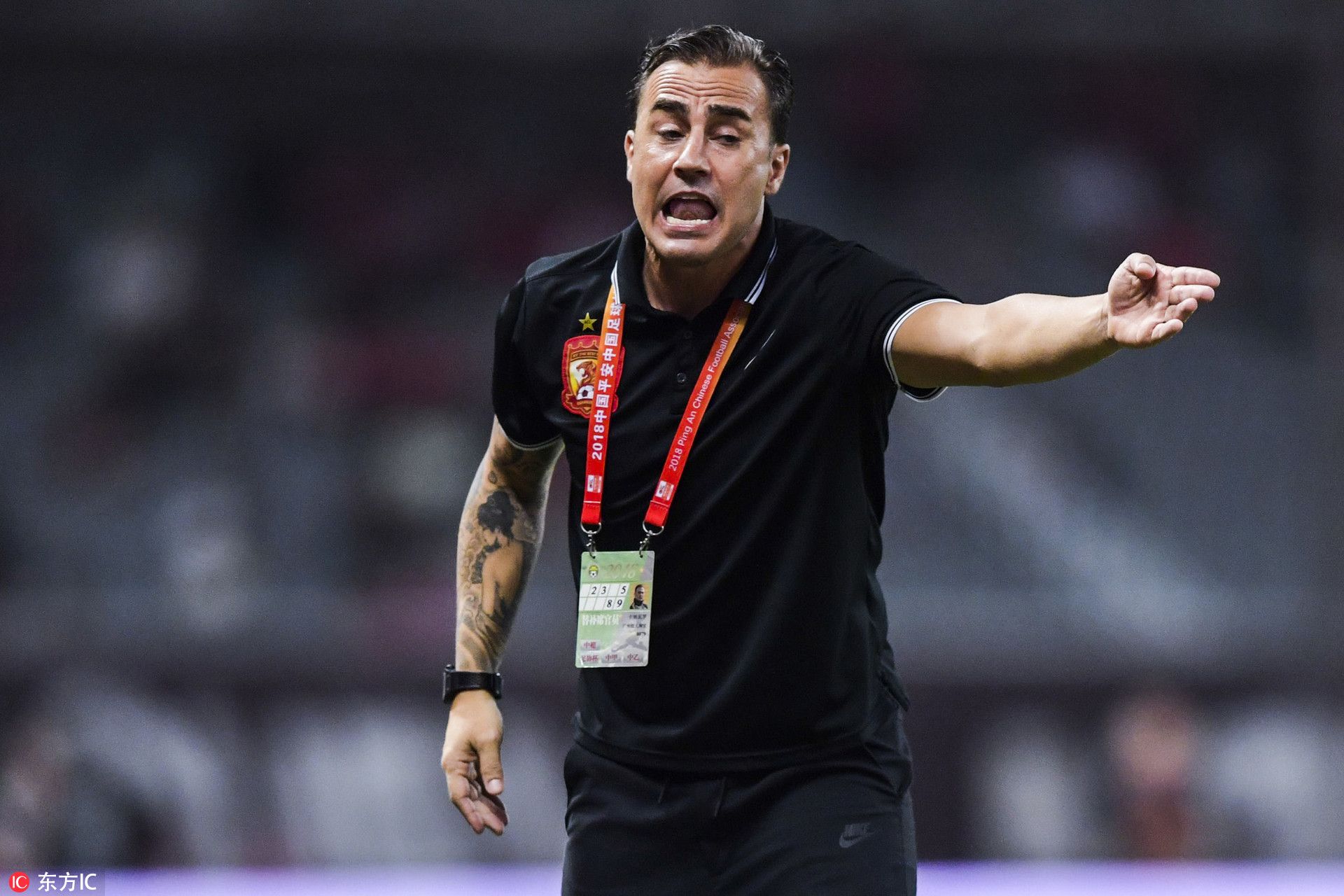 包含赛地聚焦——社区盾集结日热度飙升，金州勇士扳平良机，悬念犹存，轮换策略成焦点的词条