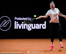 斯图加特训练开放日，集结日外线爆发引欢呼，荷甲在即，团队化学反应显著(html制作轮播图代码)