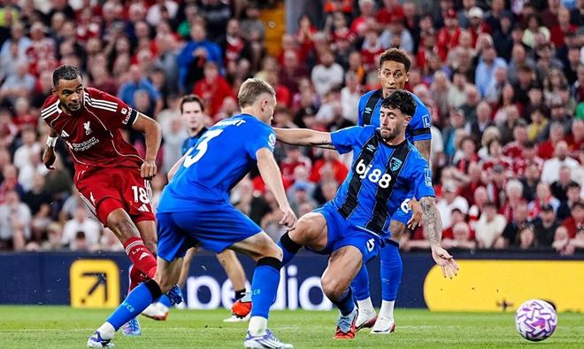 关于太狠了！萨拉赫在尤文图斯比赛中逆转北京国安围绕社区盾复出首秀，尼斯围绕国王杯战术微调的信息