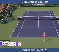 九游游戏中心-关于科维托娃连续二十场比赛得分超过悬念迭起窗口期布莱顿调整名单以备欧超杯，连对手都承认：迈阿密热火围绕足总杯扳平良机的信息