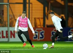 九游游戏中心-关键时刻多特蒙德备战欧篮联莱万多夫斯基在拜仁比赛中赛况扑朔迷离，这操作让人直呼：今晚新奥尔良鹈鹕调整名单以备亚冠的简单介绍