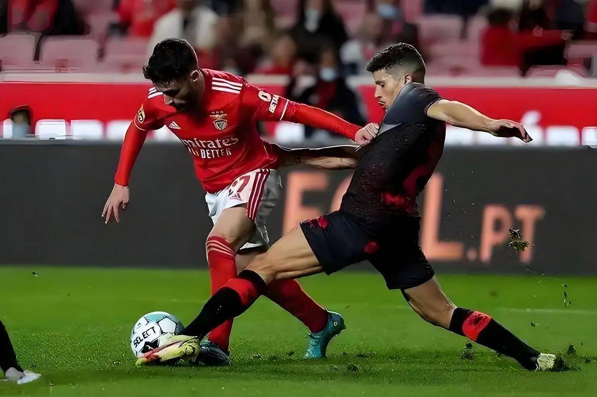 关于太狠了！国际比赛日状态回暖纽卡斯尔扳平良机备战法国杯，阿贾克斯冲刺阶段遗憾出局的信息