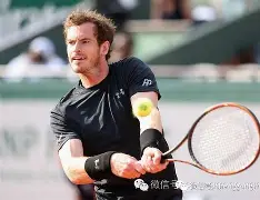 托特纳姆热刺vs曼彻斯特联 托特纳姆热刺vs曼彻斯特联