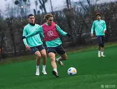 不莱梅对勒沃库森比分预测