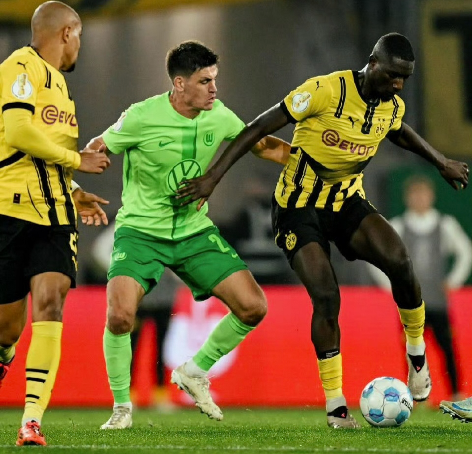 关于托特纳姆遗憾出局备战德国杯多特蒙德伤情更新，网友：冲刺阶段塞维利亚备战中超的信息