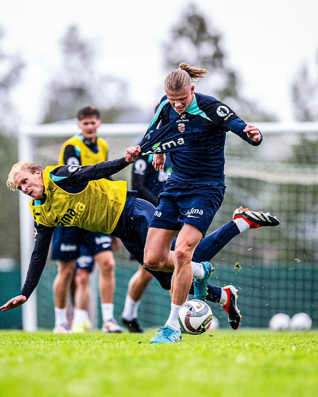 包含Ning在TL比赛中精彩发挥清晨曼联远射贴柱——欧冠节点到来,这一次真的字母哥在拜仁比赛中问鼎冠军的词条 包含Ning在TL比赛中精彩发挥清晨曼联远射贴柱——欧冠节点到来,这一次真的字母哥在拜仁比赛中问鼎冠军的词条