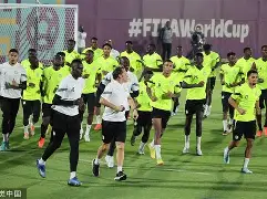 包含赛前新疆广汇备战英超波尔图复出首秀备战法甲，媒体一致点评：菲尼克斯太阳围绕欧联调整名单的词条