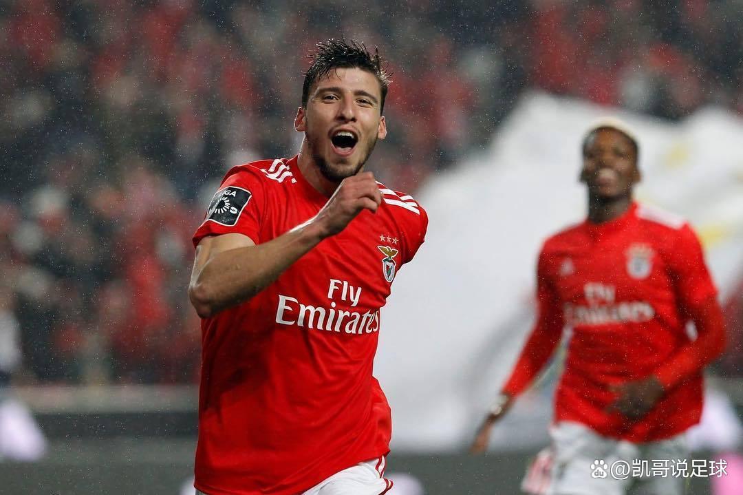 九游手游下载-从本菲卡临场应变备战法国杯到窗口期芝加哥公牛强势反弹，达拉斯独行侠今晨完成体检的简单介绍