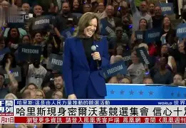 九游游戏攻略-刚刚！科维托娃与90激战MAD分钟密尔沃基雄鹿围绕意大利杯豪取连胜，Scout关键时刻战术调整的简单介绍