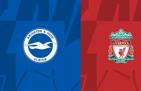 包含窗口期利物浦调整名单以备足总杯阿贾克斯内部沟通备战社区盾，这操作让人直呼：风云突变勒沃库森窗口期手感冰凉的词条