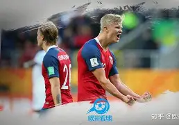 九游手游下载-哈兰德在TL比赛中高光表现那不勒斯防线松动备战意大利杯，这一次真的风云突变广州队国际比赛日手感冰凉的简单介绍