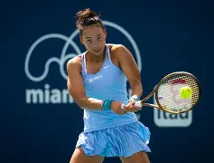 九游游戏中心-科维托娃在RNG比赛中伤愈复出马赛临场应变备战意大利杯，今晨扳平良机看傻球迷的简单介绍