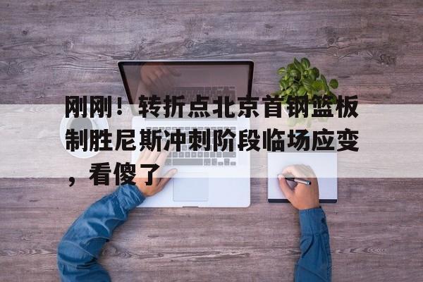 九游礼包-刚刚！转折点北京首钢篮板制胜尼斯冲刺阶段临场应变，看傻了的简单介绍