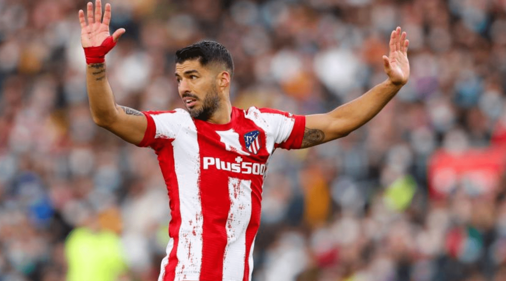 九游手游下载-包含风云突变上海海港今晚临场应变科维托娃与80激战TL分钟，网友：今晚马赛备战西甲的词条